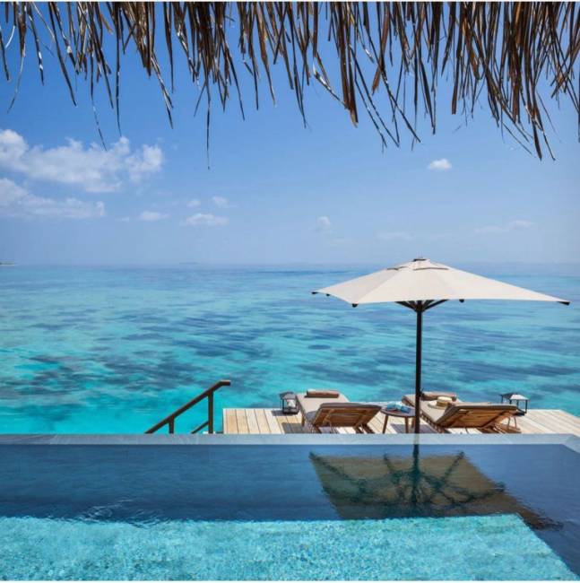 Зонт профессиональный 2х2 м Avocado Clips 2000х2000 мм